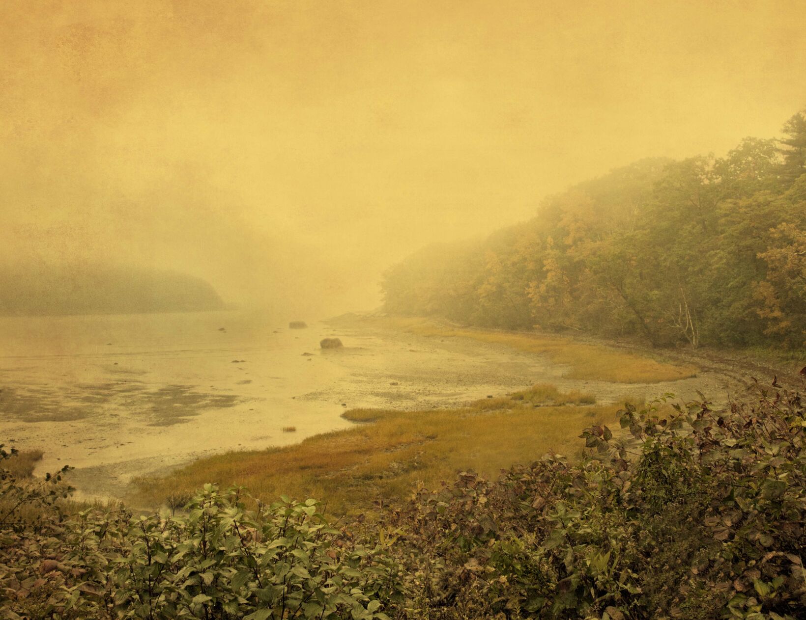 Photo by Fine Art Photographer Joyce Tenneson